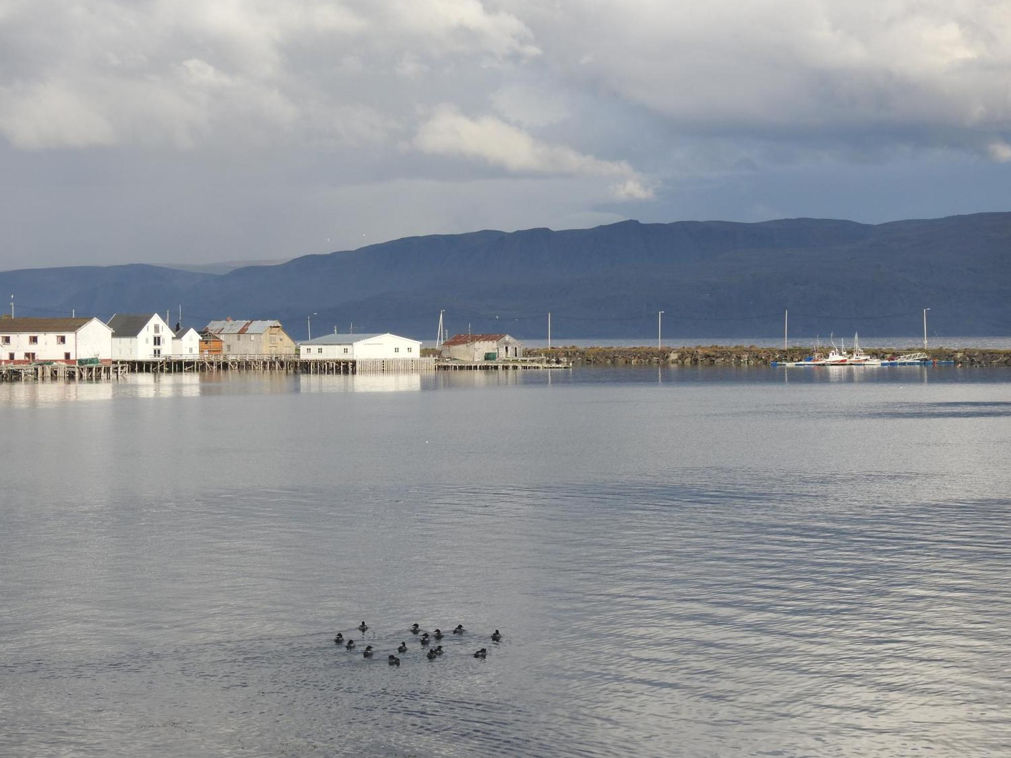 Kongsfjord Holiday Home Εξωτερικό φωτογραφία